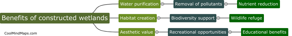 What are the benefits of constructed wetlands?