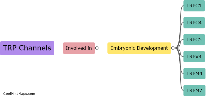 Which TRP channels are involved in embryonic development?