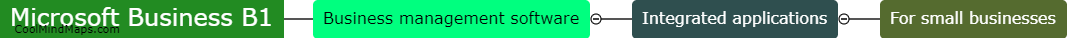 What is Microsoft Business B1?