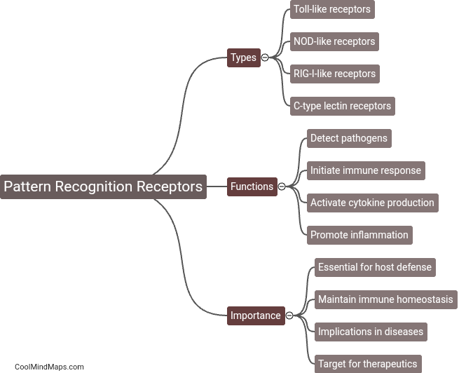 What are pattern recognition receptors?