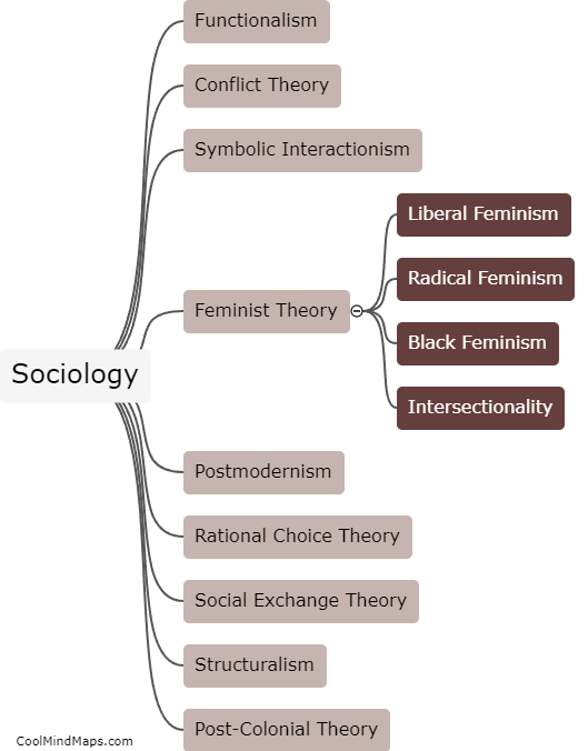 What are some key theories in sociology?