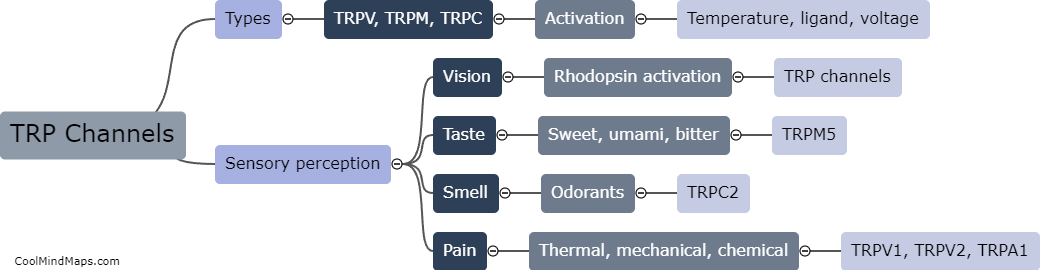 What is the significance of TRP channels in sensory perception?