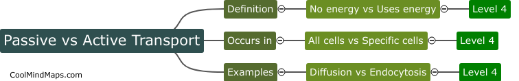 What is the difference between passive and active transport?