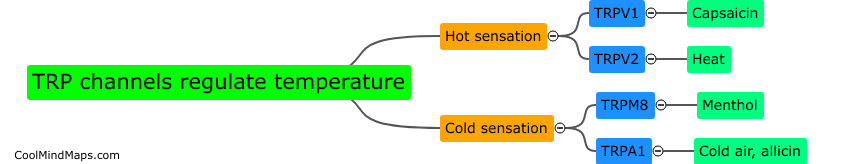 In what ways can TRP channels be used to regulate temperature?