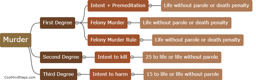 What are the legal consequences for each degree of murder?