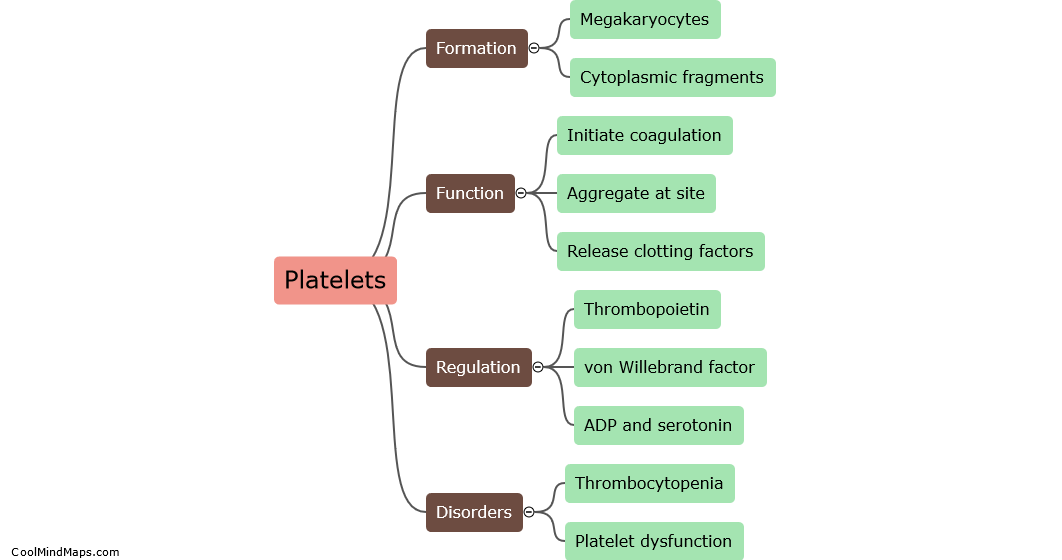 What is the role of platelets in blood coagulation?