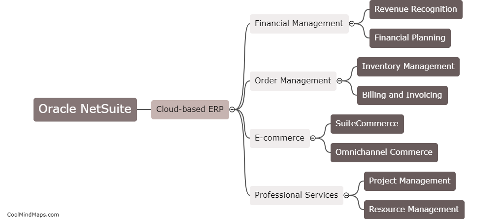 What is Oracle NetSuite?