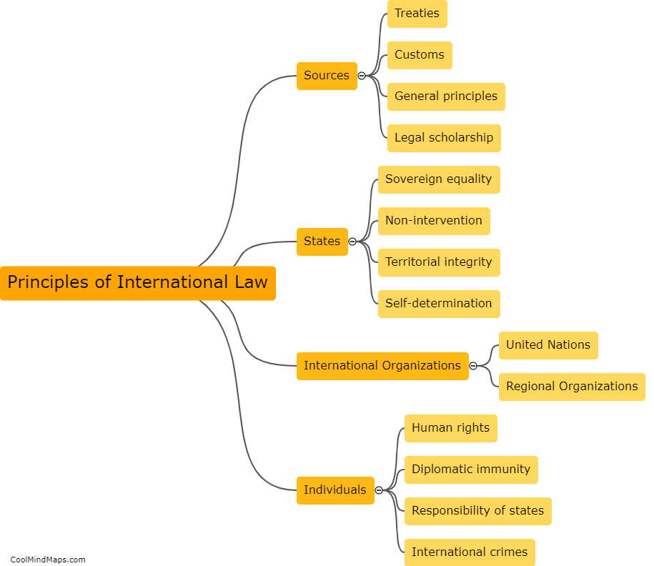 What are the principles of international law?