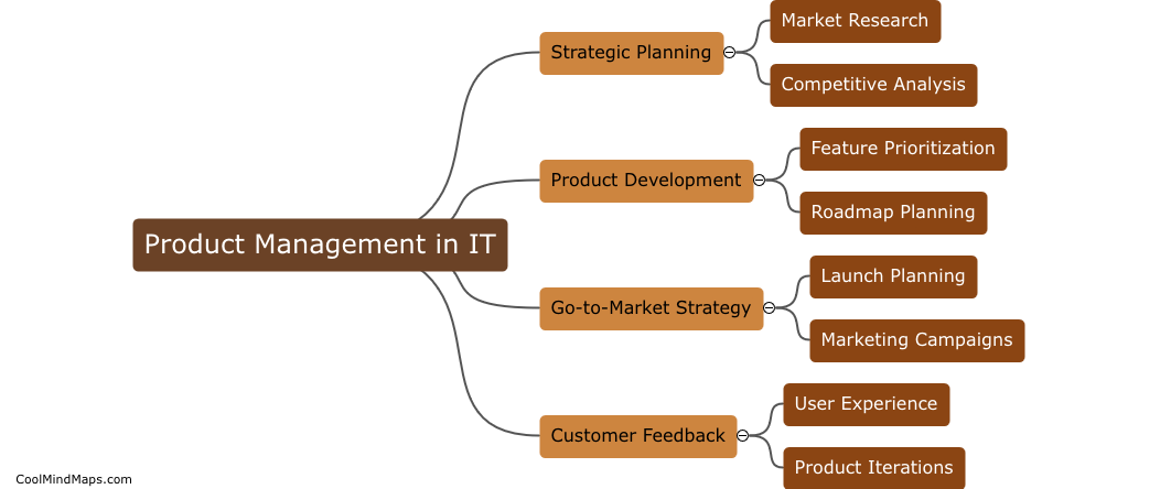 What is the role of product management in IT?