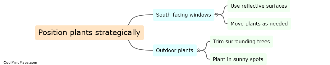 How can I ensure my plants get enough sunlight in Edmonton?