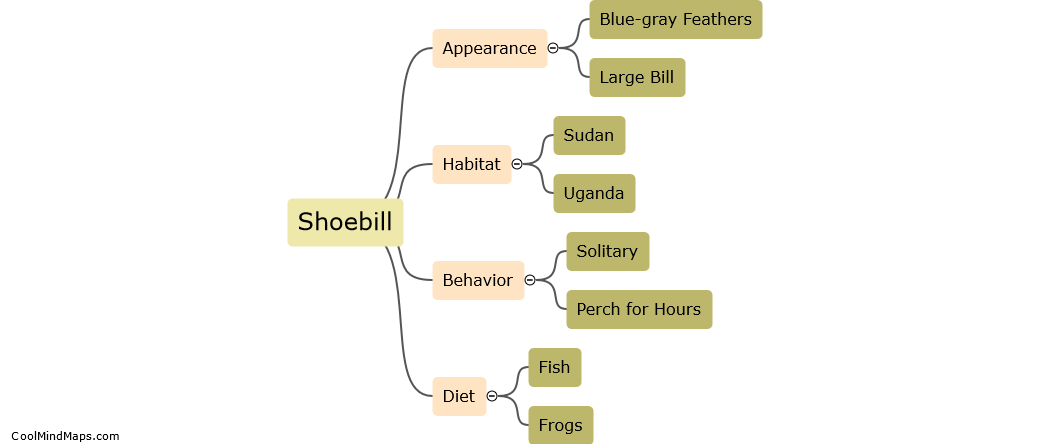 What is a shoebill?