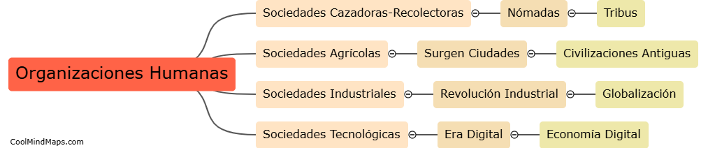 ¿Cómo evolucionaron las organizaciones humanas a lo largo del tiempo?