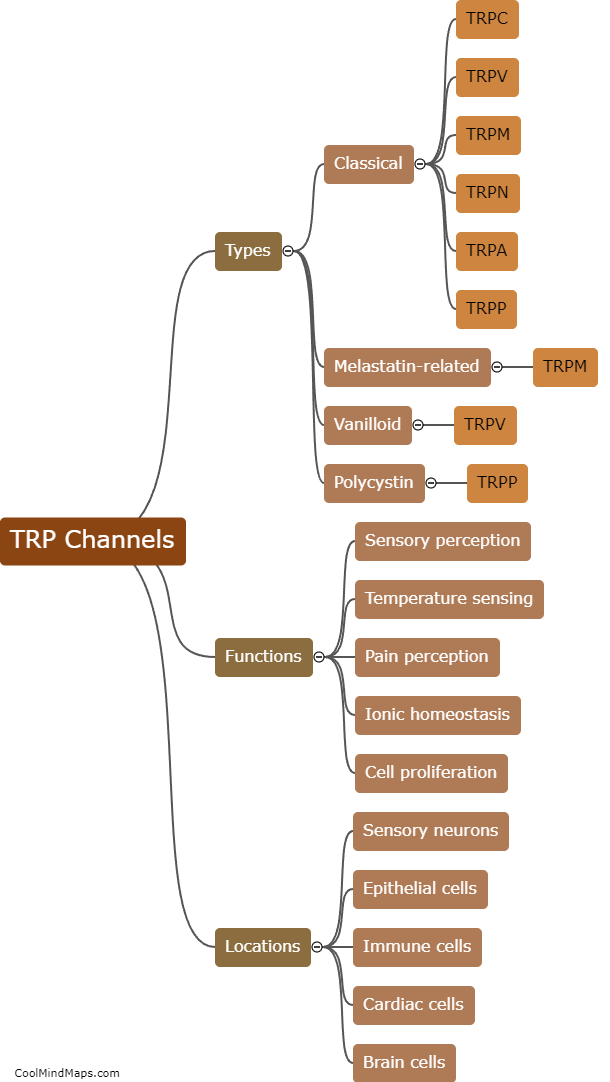 What are TRP channels?