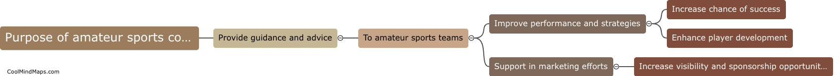 What is the purpose of an amateur sports consulting agency?