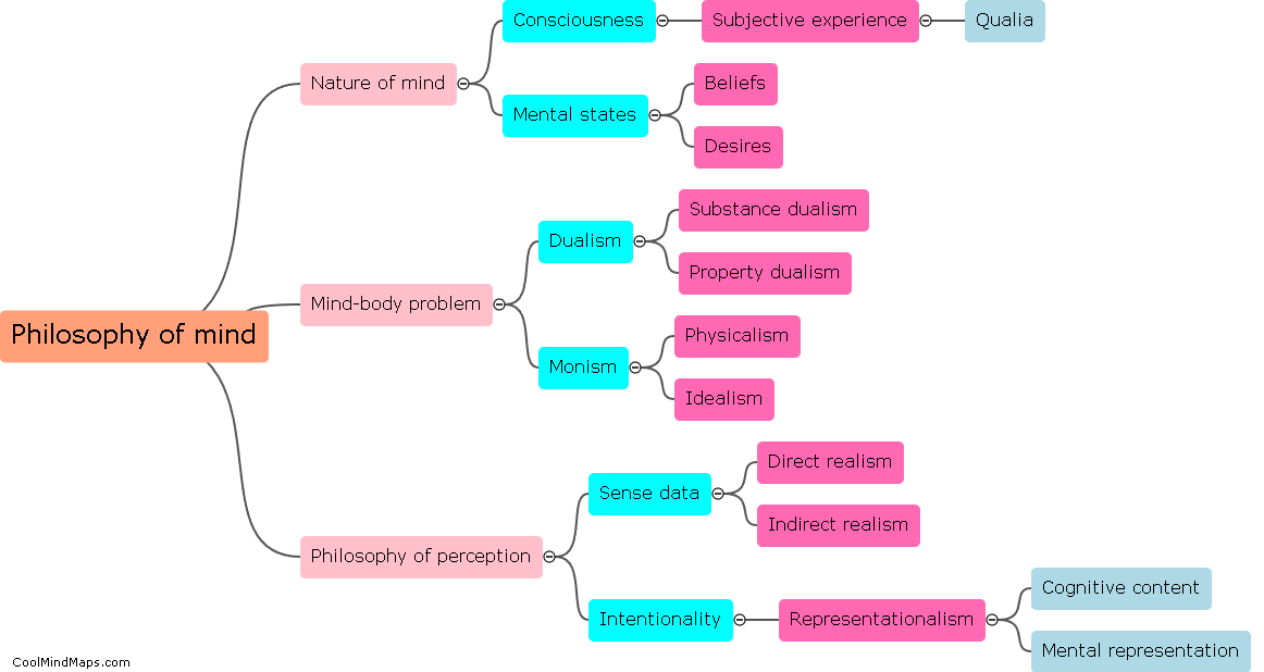 What is the philosophy of mind?