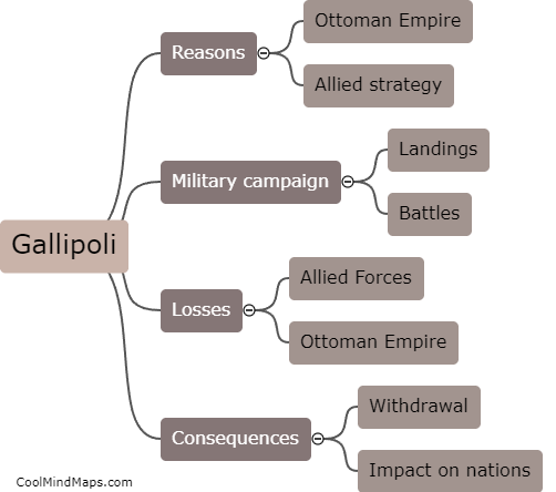 What happened at Gallipoli?