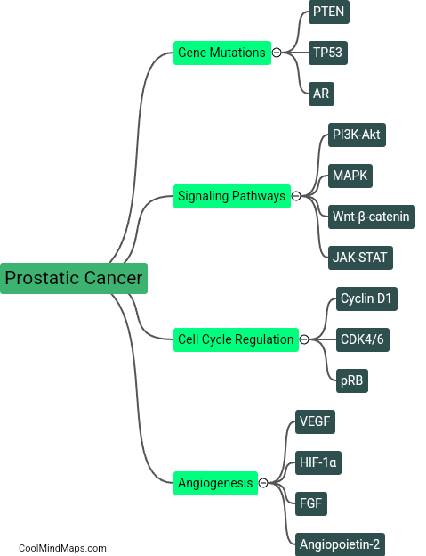 What are the key molecular pathways involved in prostatic cancer?