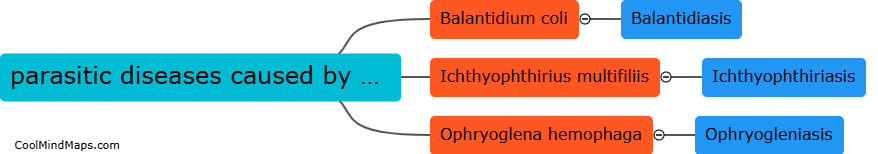 What are parasitic diseases caused by ciliates?