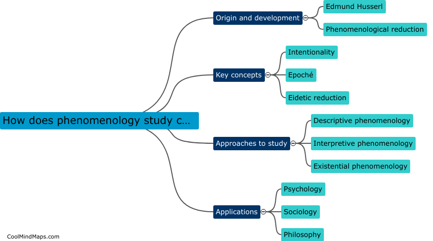 How does phenomenology study conscious experience?