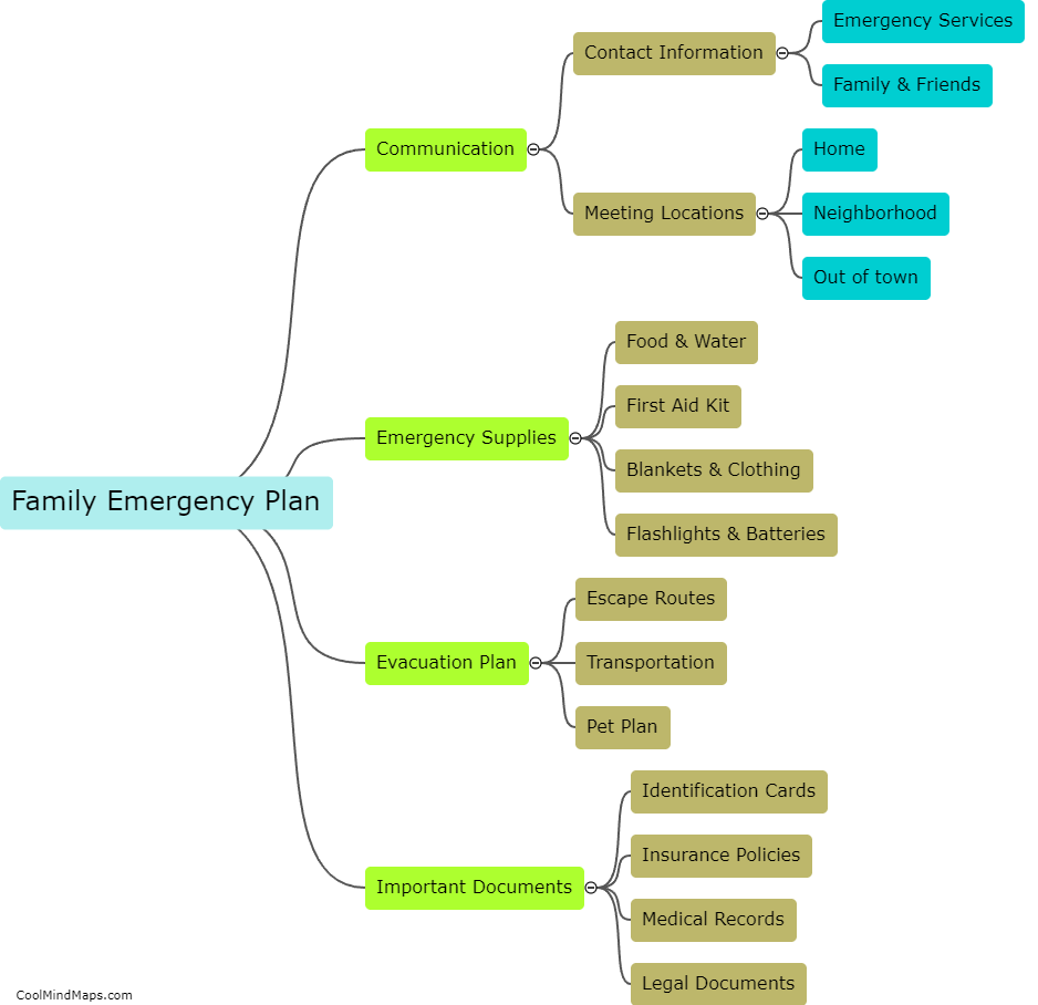 What should be included in a family emergency plan?