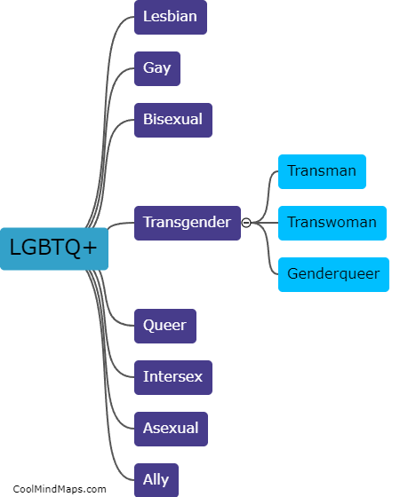 What does LGBTQ+ stand for?