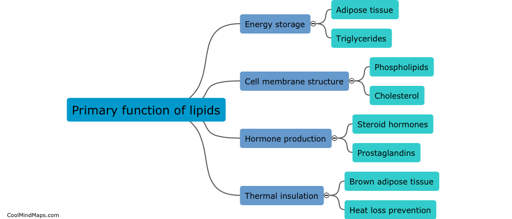 What is the primary function of lipids?