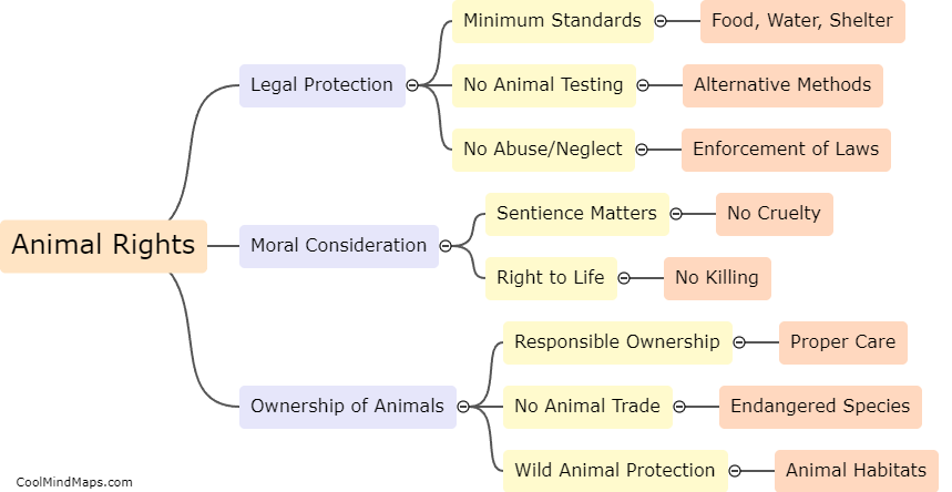What rights should animals have?