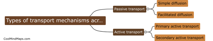 What are the different types of transport mechanisms across the cell membrane?